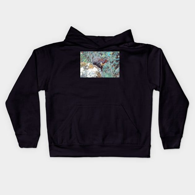 Pine Marten Kids Hoodie by British Wildlife